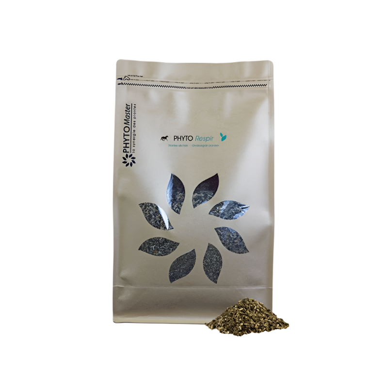 PhytoMaster - Complément alimentaire confort respiratoire Phyto Respir | - Ohlala
