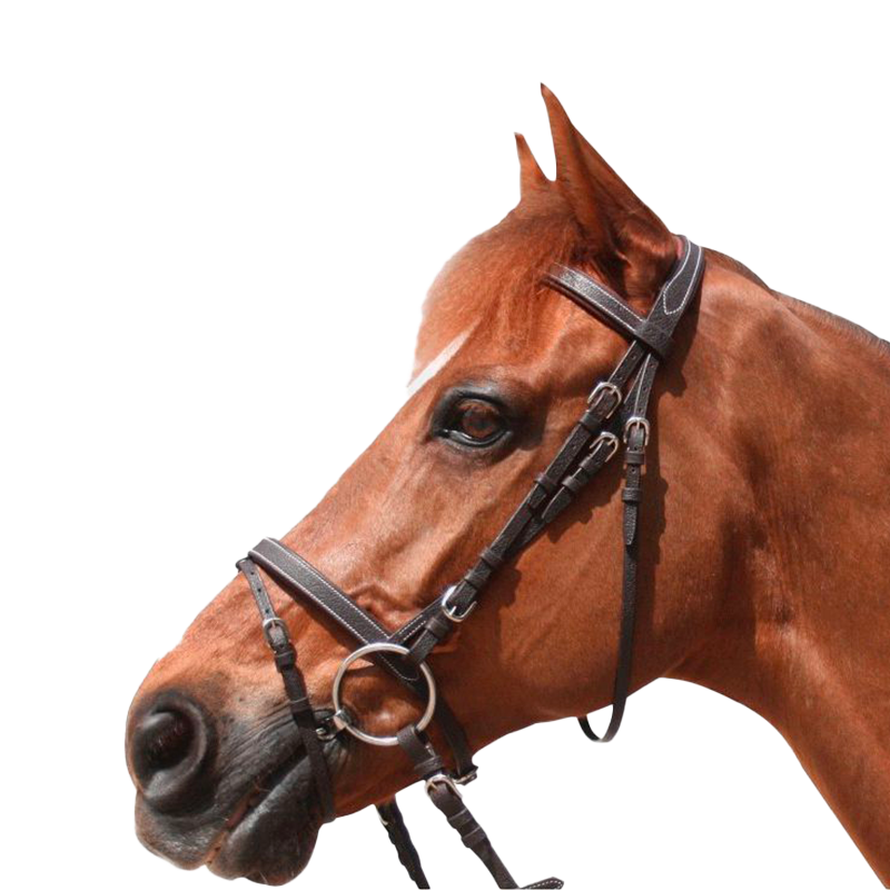 Privilege Equitation - Bridon Grandville gecombineerd met bruine teugels
