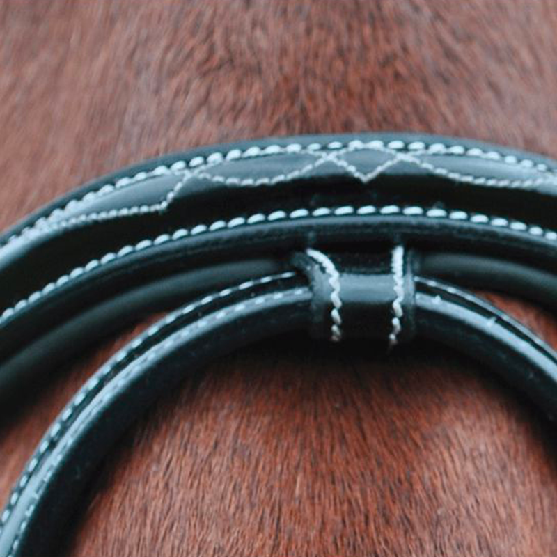 Privilege Equitation - Nice bridle combined with black reins