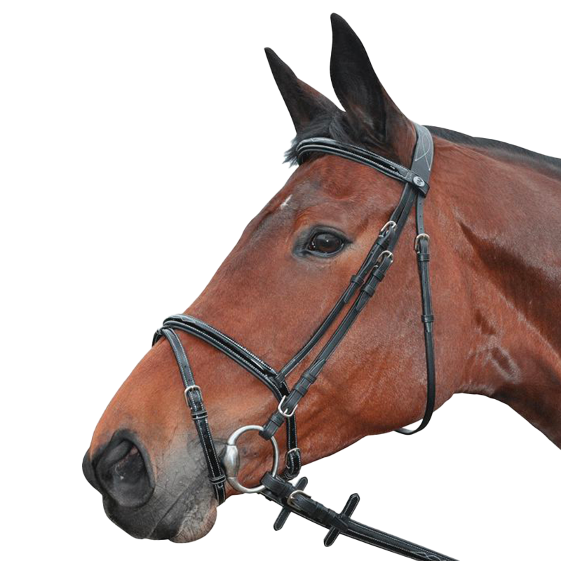 Privilege Equitation - Nice bridle combined with black reins