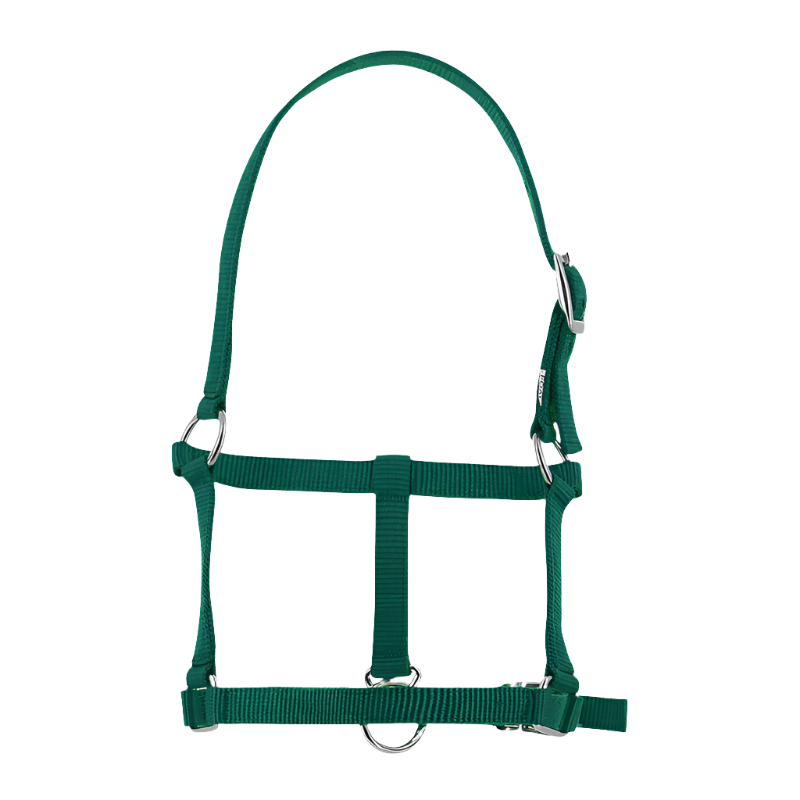 Riding World - Licol foal vert foncé | - Ohlala