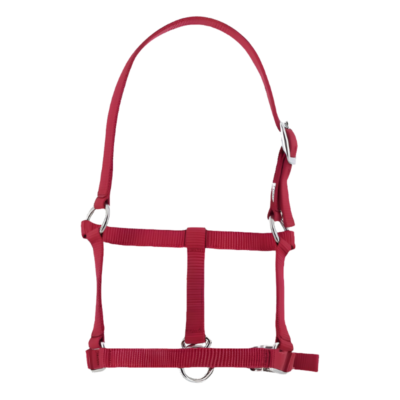 Riding World - Burgundy foal halter