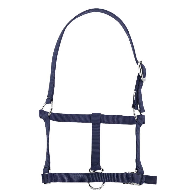 Riding World - Navy foal halter