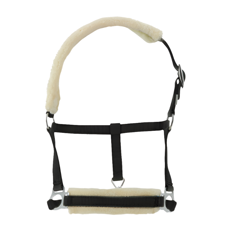 Riding World - Licol foal synthétique Mouton noir