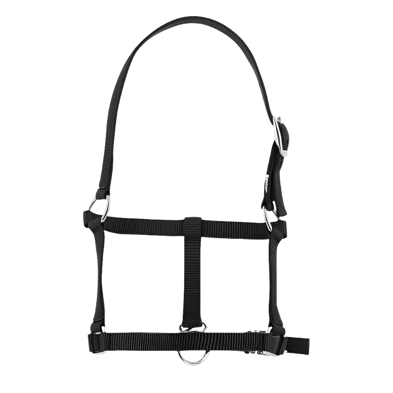 Riding World - Licol foal noir | - Ohlala
