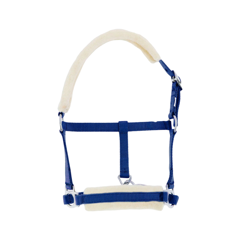 Riding World - Licol foal synthétique Mouton bleu roi | - Ohlala
