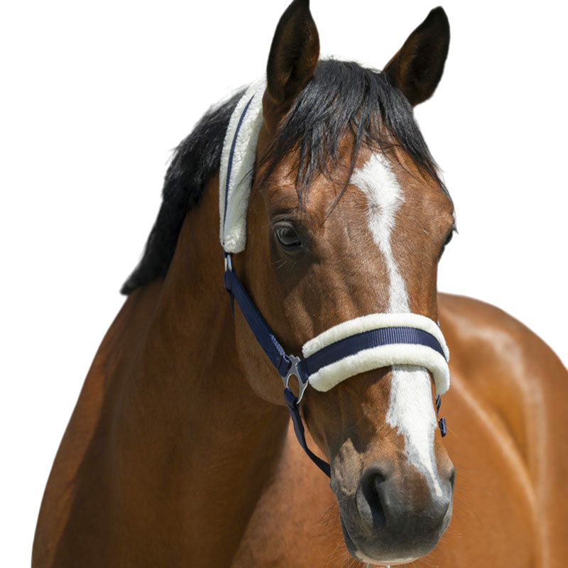 Riding World - Licol mouton synthétique marine | - Ohlala