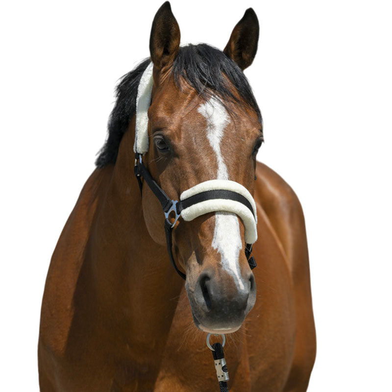 Riding World - Licol mouton synthétique noir | - Ohlala