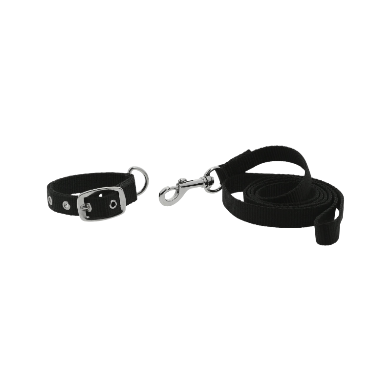 Riding World - Collier et laisse pour chien Oscar noir | - Ohlala