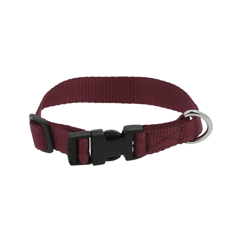 Riding World - Collier pour chien Pat bordeaux | - Ohlala