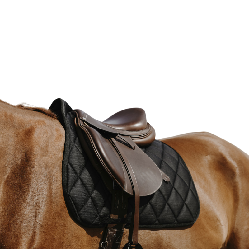 Riding World - Tapis de selle School noir | - Ohlala