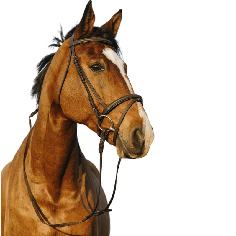 Riding World - Bridon muserolle combinée double havane | - Ohlala