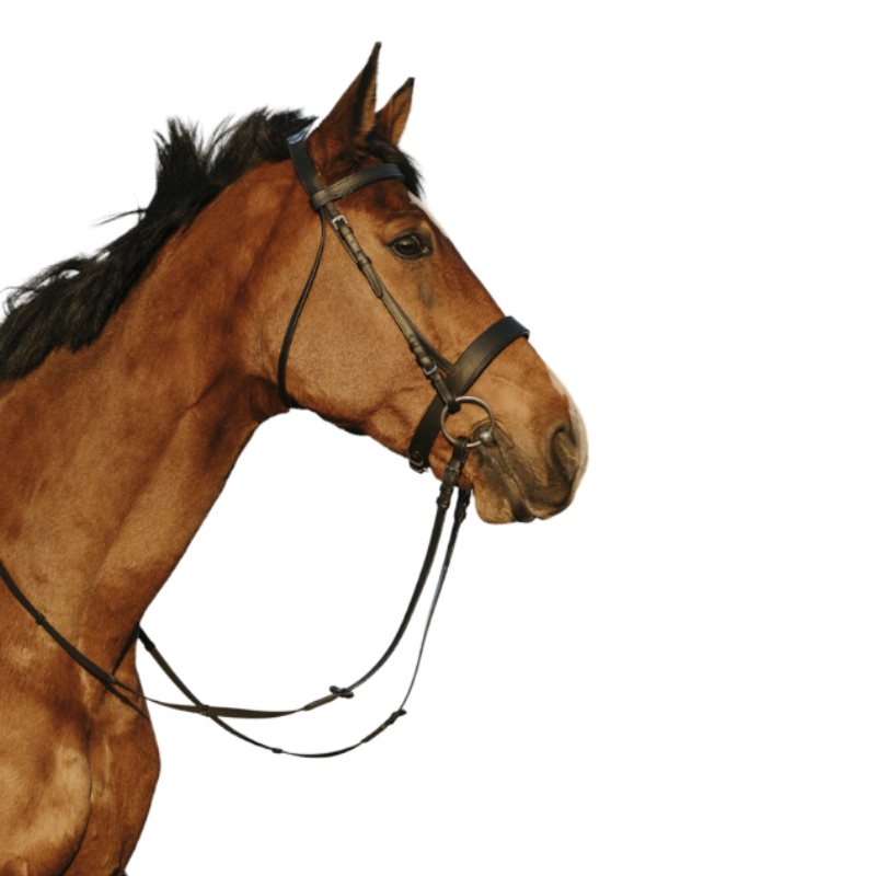 Riding World - Bridon muserolle large noir avec rênes | - Ohlala