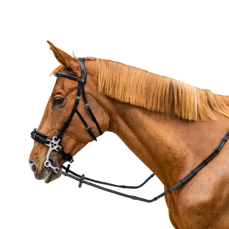 Dyon - Rênes caoutchouc 5/8 avec arrêtoirs et mousqueton Working noir