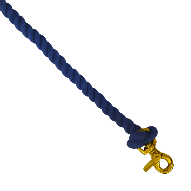 Norton - Rênes coton torsadé de pony games bleu roi | - Ohlala