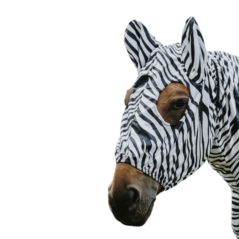 Riding World - Bonnet anti-eczéma zèbre noir/ blanc | - Ohlala