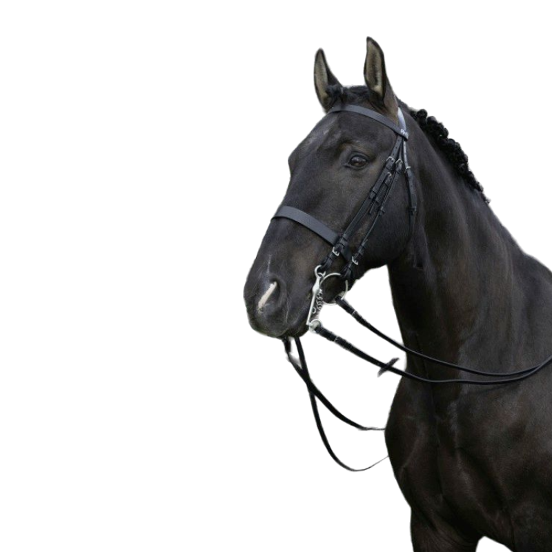 Riding World - Bride de dressage noire avec rênes | - Ohlala