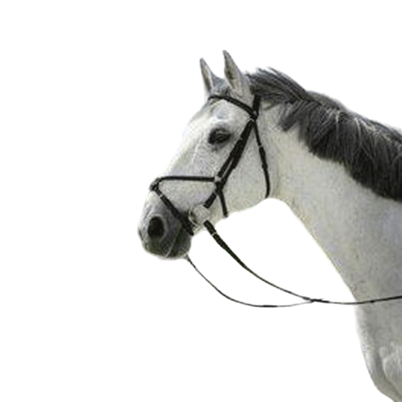 Riding World - Bridon Muserolle croisée avec rênes | - Ohlala