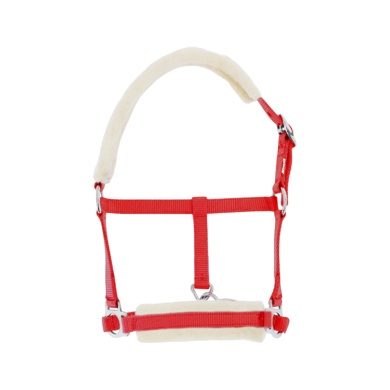 Riding World - Licol foal synthétique Mouton rouge | - Ohlala