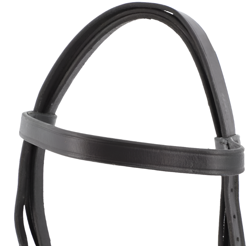 Riding World - Bride de dressage noire avec rênes | - Ohlala