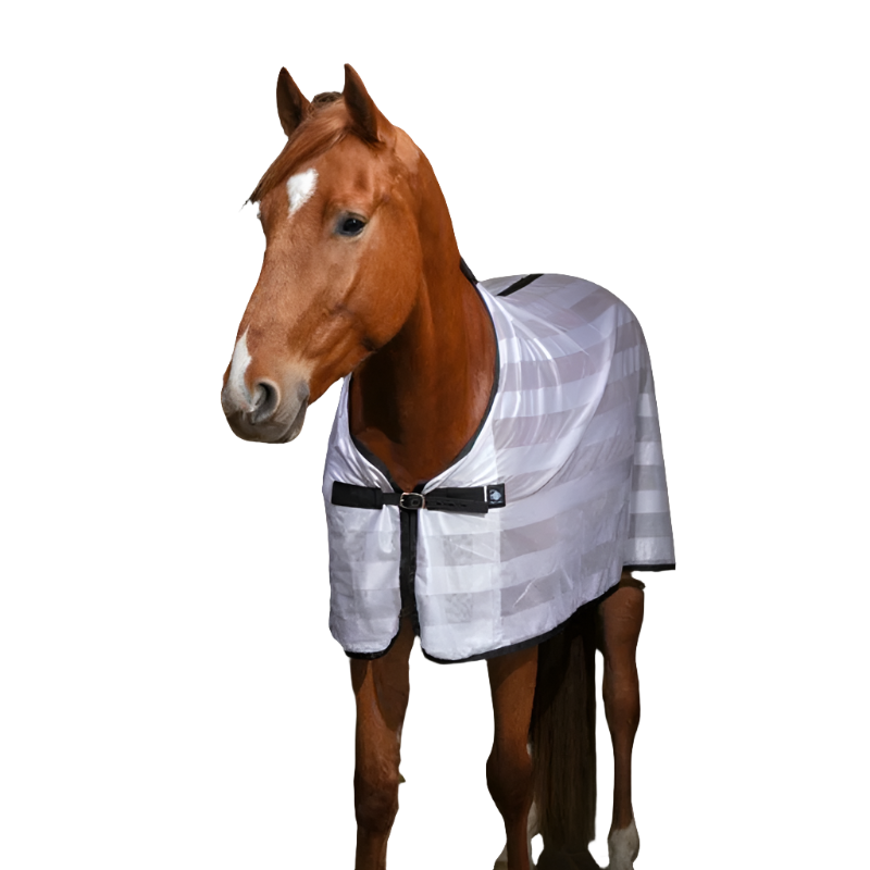 Riding World - Chemise filet Mesh blanc | - Ohlala