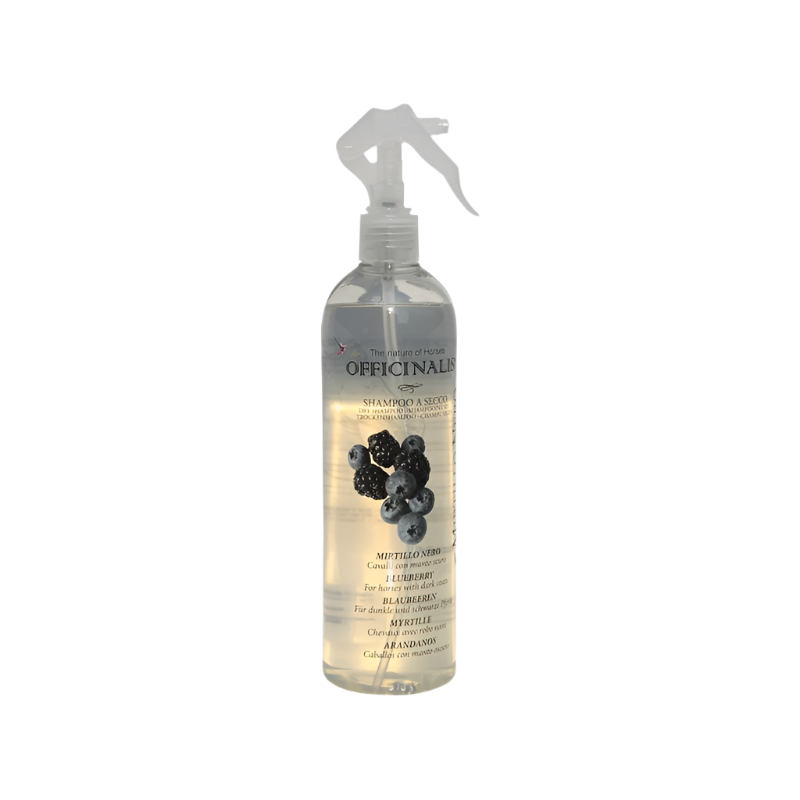 Officinalis - Shampoing sec robe foncée myrtille | - Ohlala