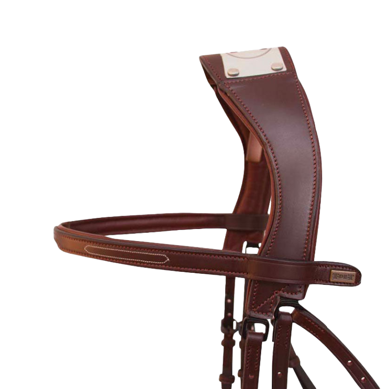 TdeT - Bridon à pont Manet havane | - Ohlala