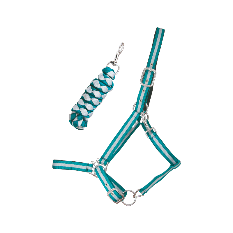 TdeT - Licol doublé avec longe Américaine turquoise/ gris | - Ohlala