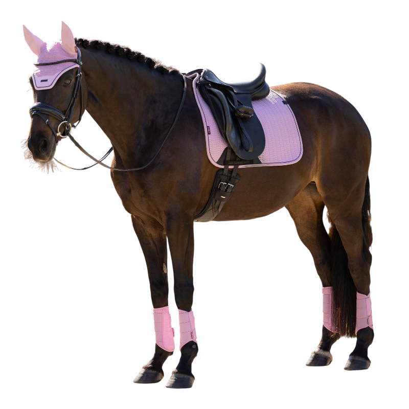 LeMieux - Tapis de dressage Essence fondant | - Ohlala