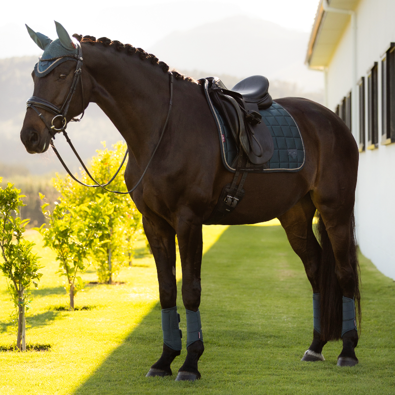 LeMieux - Tapis de dressage Loire Classic jungle | - Ohlala