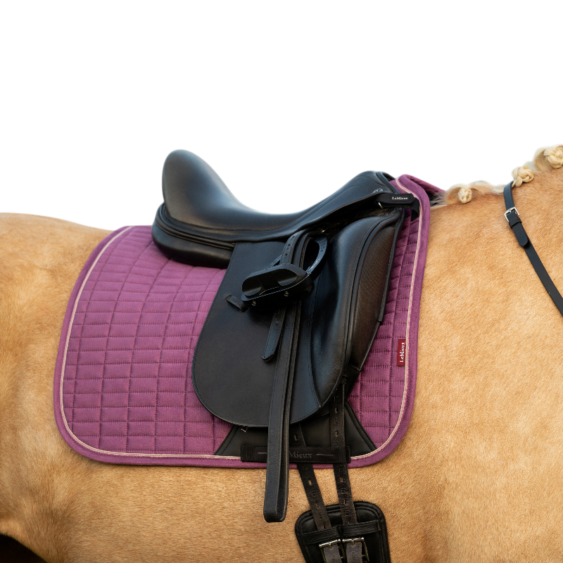 LeMieux - Tapis de dressage Suede mallow | - Ohlala