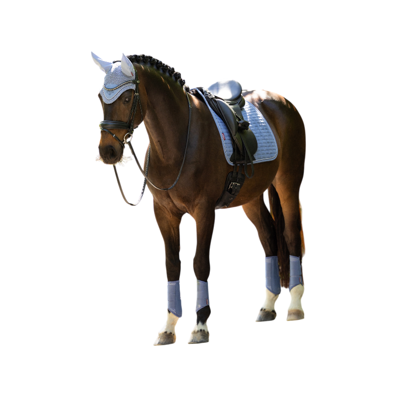 LeMieux - Tapis de dressage Suede powder blue | - Ohlala