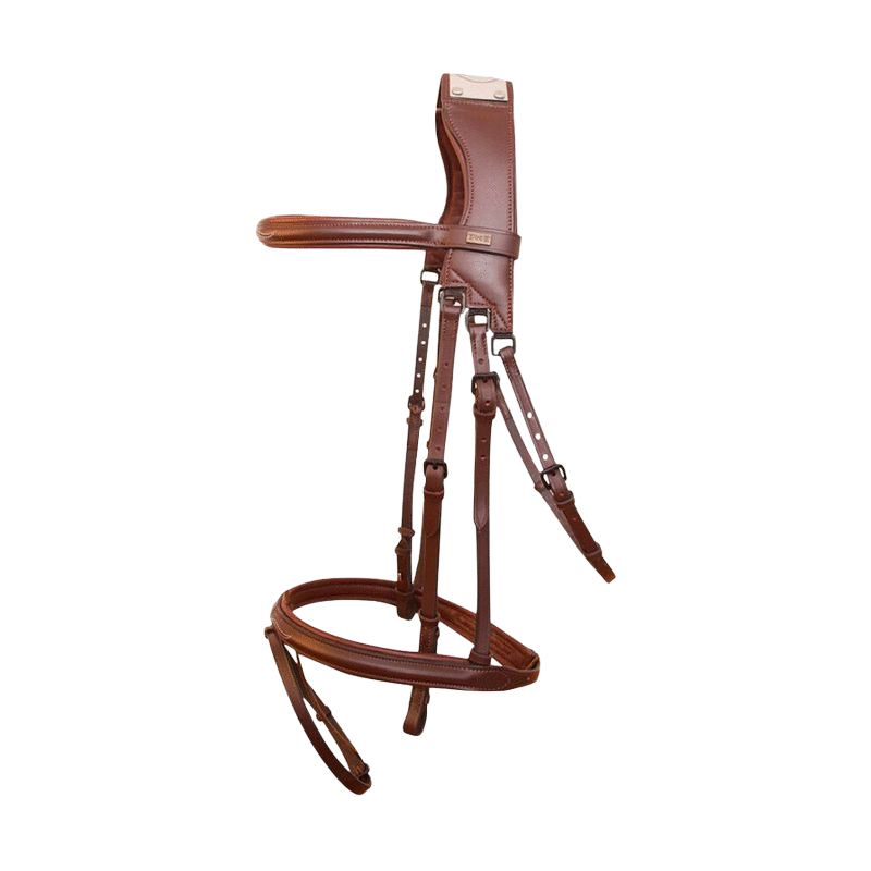 TdeT - Raphael dark havana bridle and reins