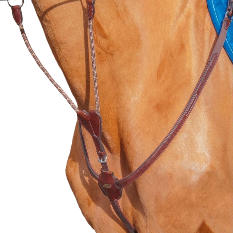 TdeT - Collier de chasse havane foncé | - Ohlala