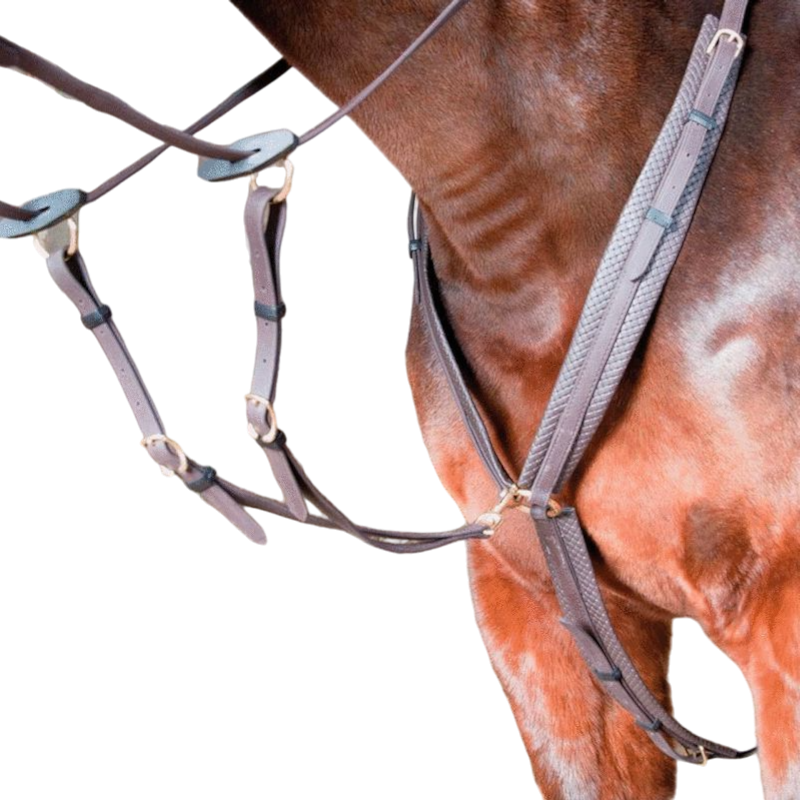 TdeT - Collier de chasse Biotack® marron foncé | - Ohlala