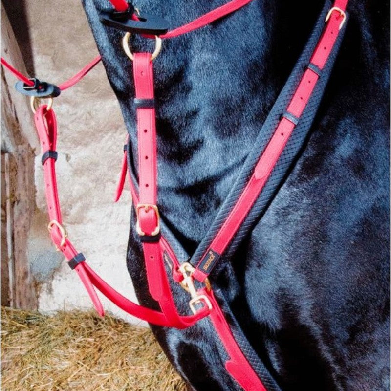 TdeT - Collier de chasse Biotack® rouge | - Ohlala