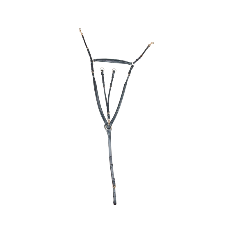 TdeT - Collier de chasse doublé à pont noir | - Ohlala