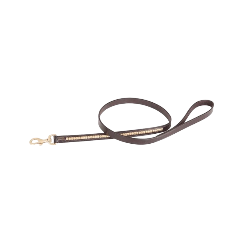 TdeT - Laisse pour chien clincher havane foncé/ jaune | - Ohlala