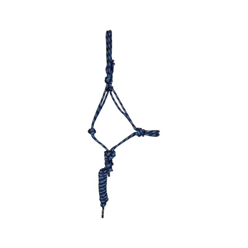 TdeT - Licol éthologique + longe marine/bleu ciel | - Ohlala