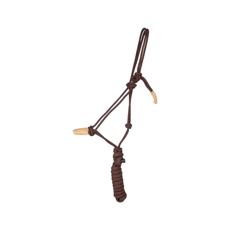 TdeT - Licol éthologique confort + longe marron/beige | - Ohlala