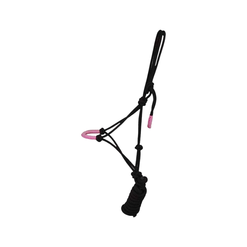TdeT - Licol éthologique confort + longe noir/rose | - Ohlala