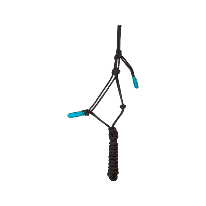 TdeT - Licol éthologique confort + longe noir/turquoise | - Ohlala