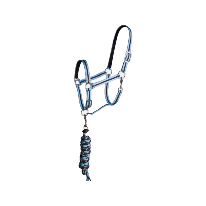 TdeT - Lined synthetic halter + brown f/sky blue braided lead