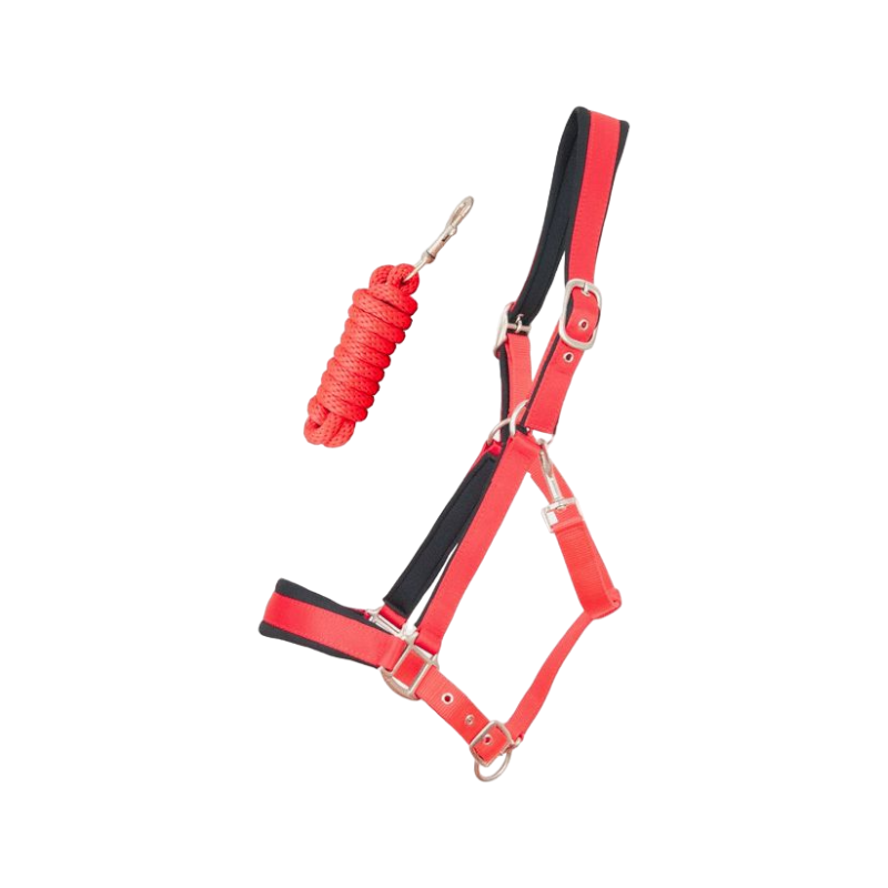 TdeT - Licol Satin Double Round Longe Matching Red