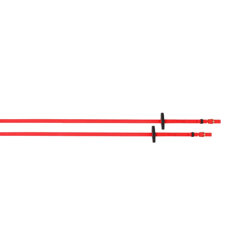 TdeT - Rênes Biotack® lisses rouge | - Ohlala