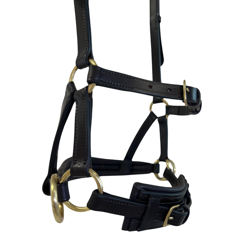 TdeT - Sidepull en cuir No More havane foncé | - Ohlala