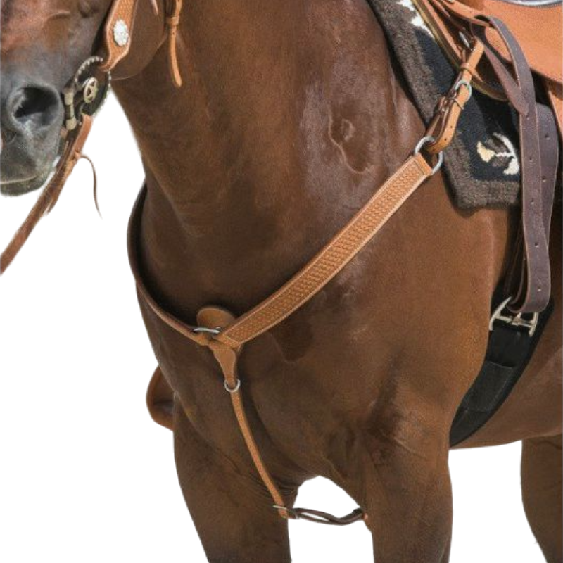 Westride - Collier de chasse Aurora noisette | - Ohlala