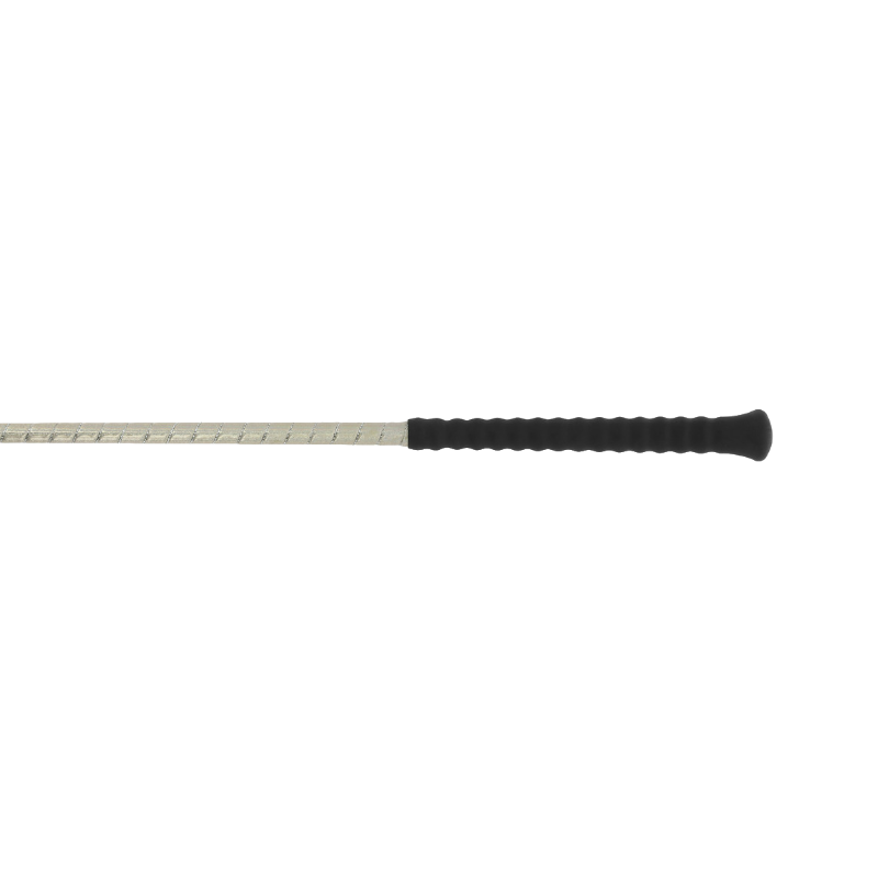 Whip&Go - Cravache glossy argent | - Ohlala