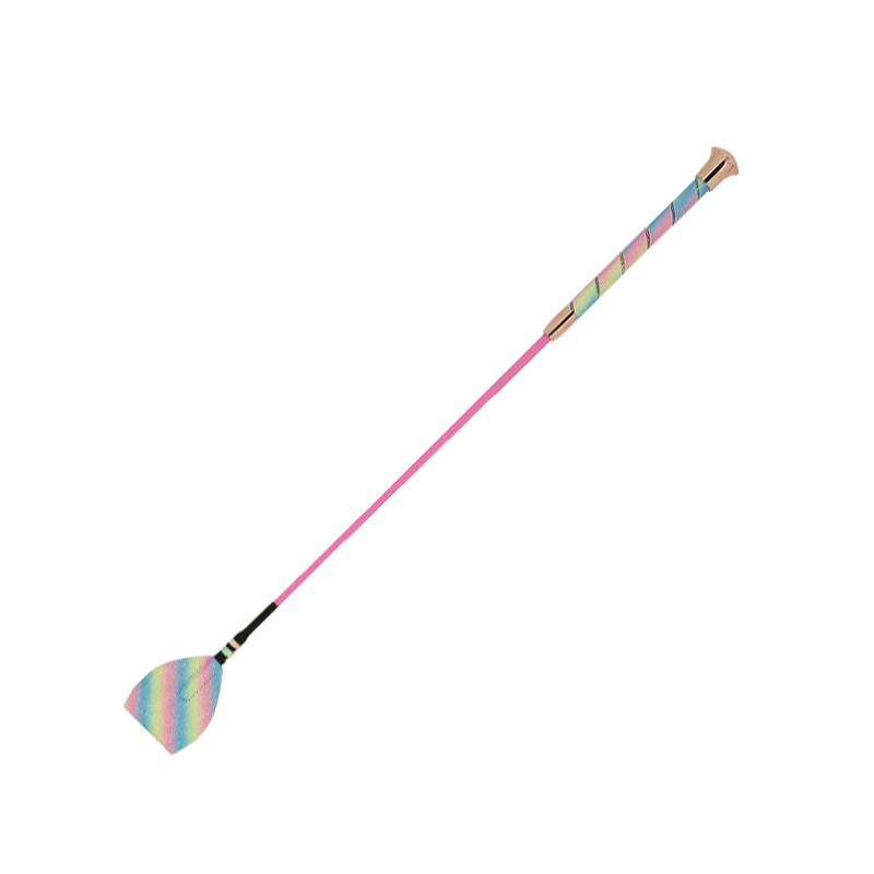 Whip&Go - Cravache Strassy arc en ciel | - Ohlala