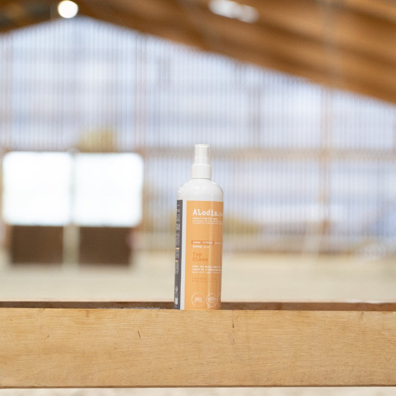 Alodis Care - Spray assainissant Top Clean
